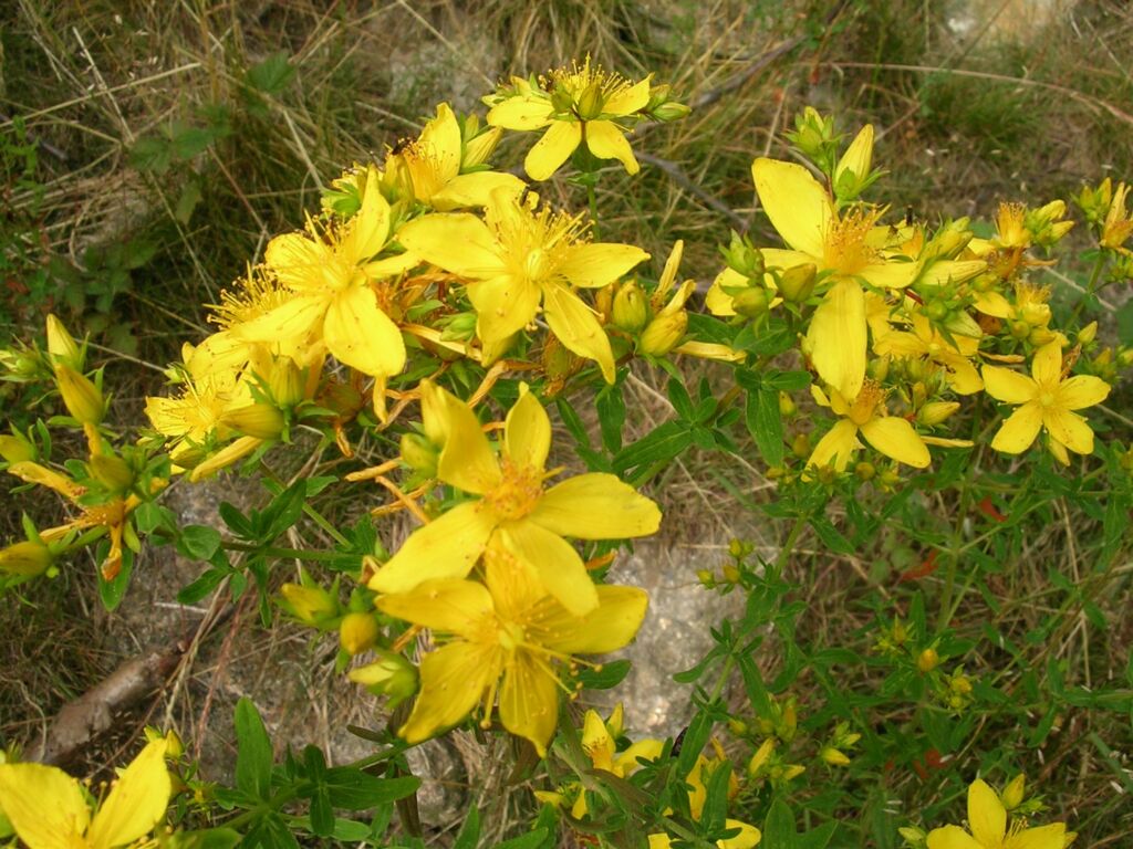 Regalati un raggio di sole!