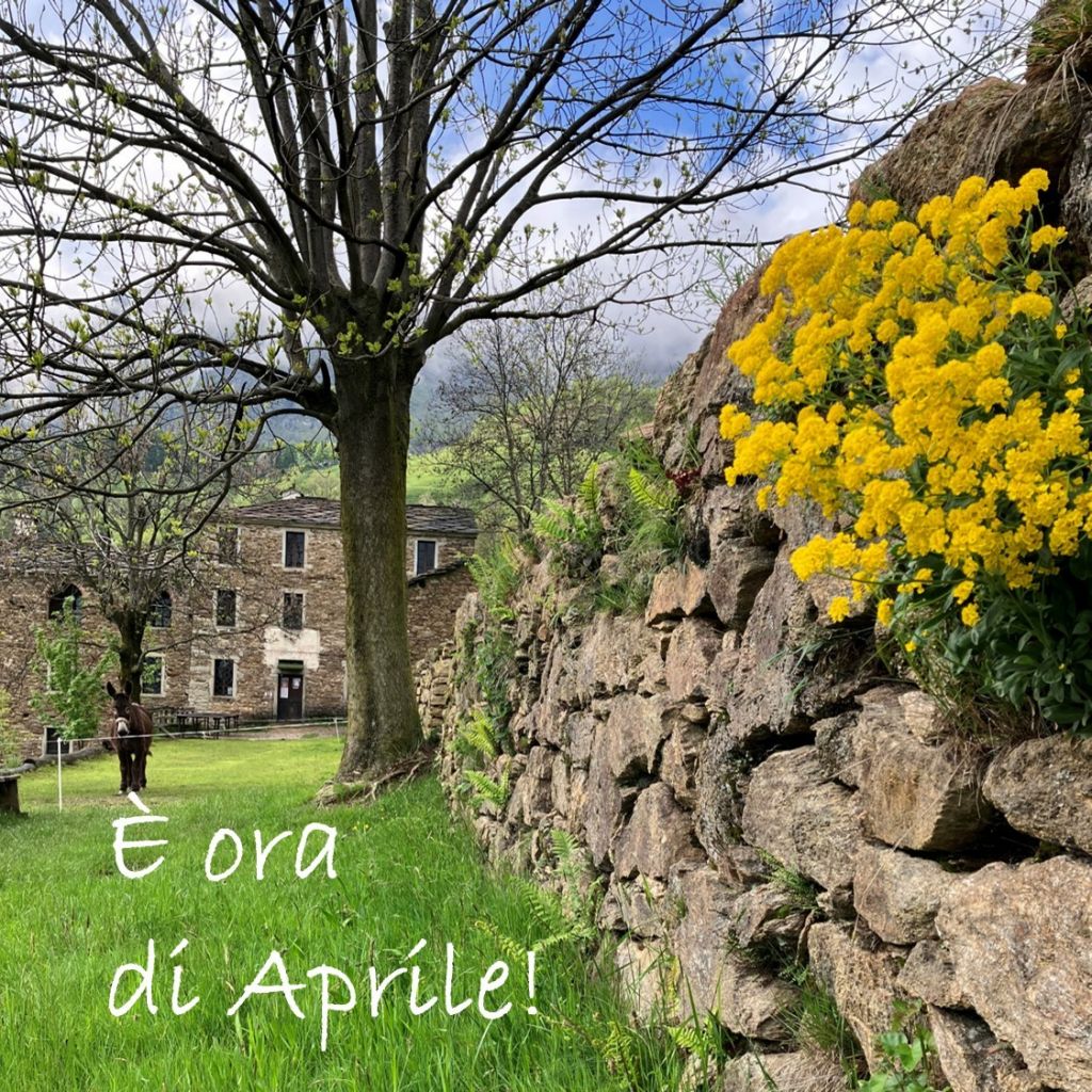 PRIMAVERA - Apertura di Pasquetta alla Trappa