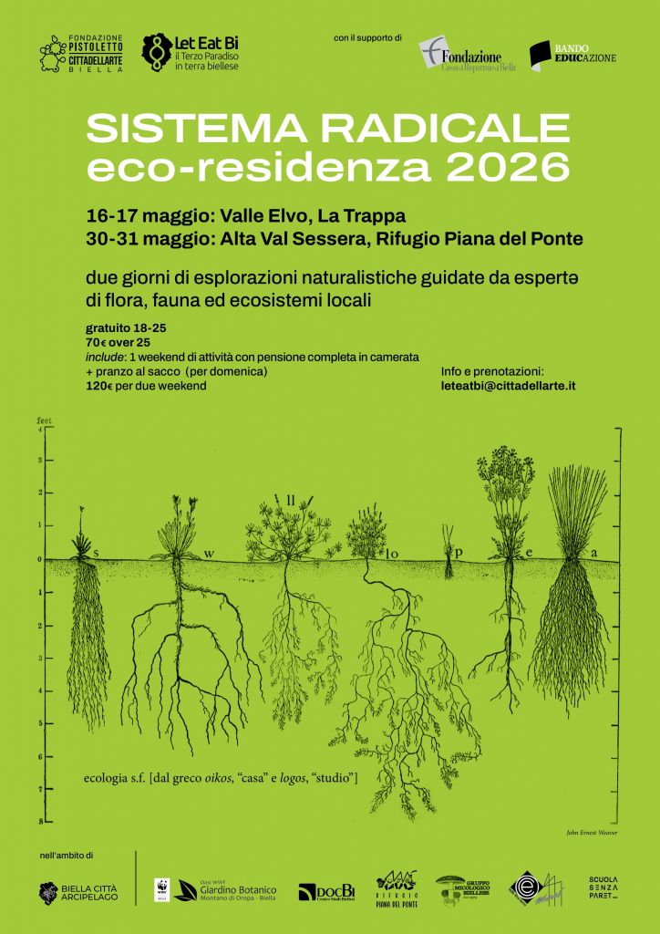 Sistema Radicale