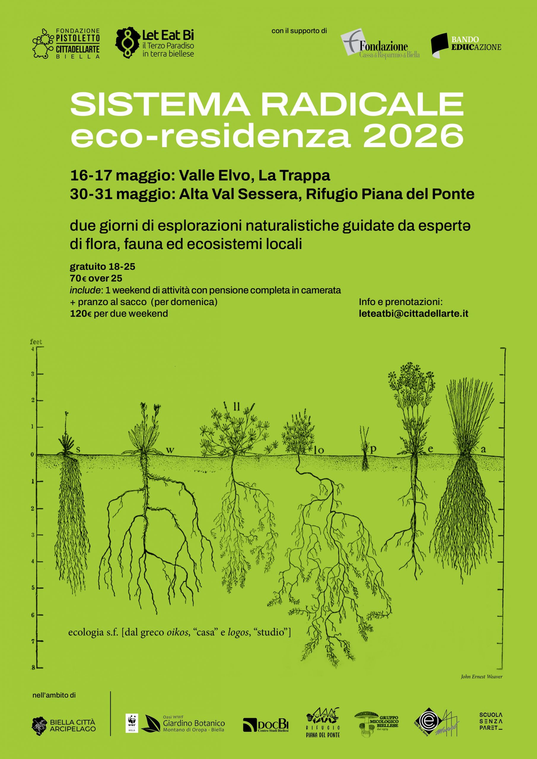 260516-17 Sistema radicale